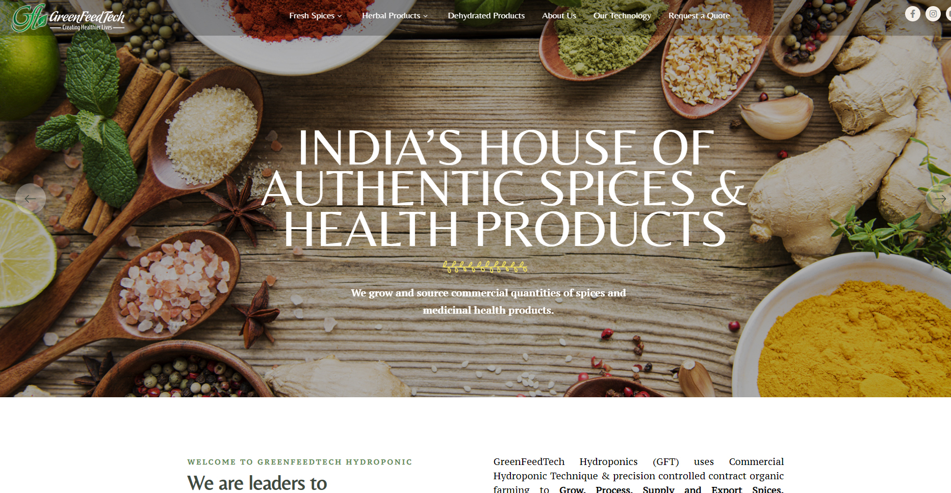 Grow, Process, Supply, Export Spices